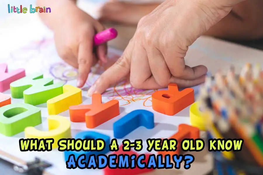 what-should-a-2-3-year-old-know-academically-little-brain-publishing